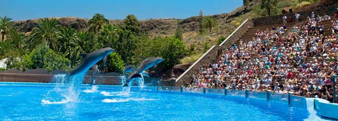 Palmitos Park, Maspalomas