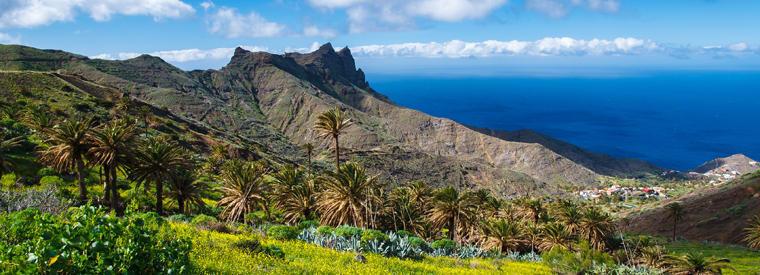 Canary Islands Landscape