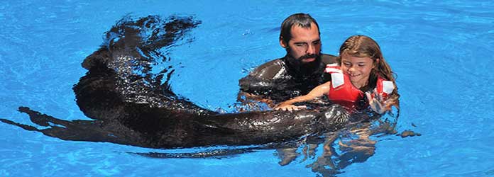 Oasis Park Sea Lion Experience