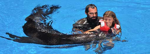 Oasis Park Sea Lion Show