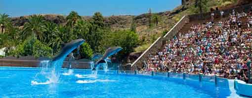 Palmitos Park, Gran Canaria